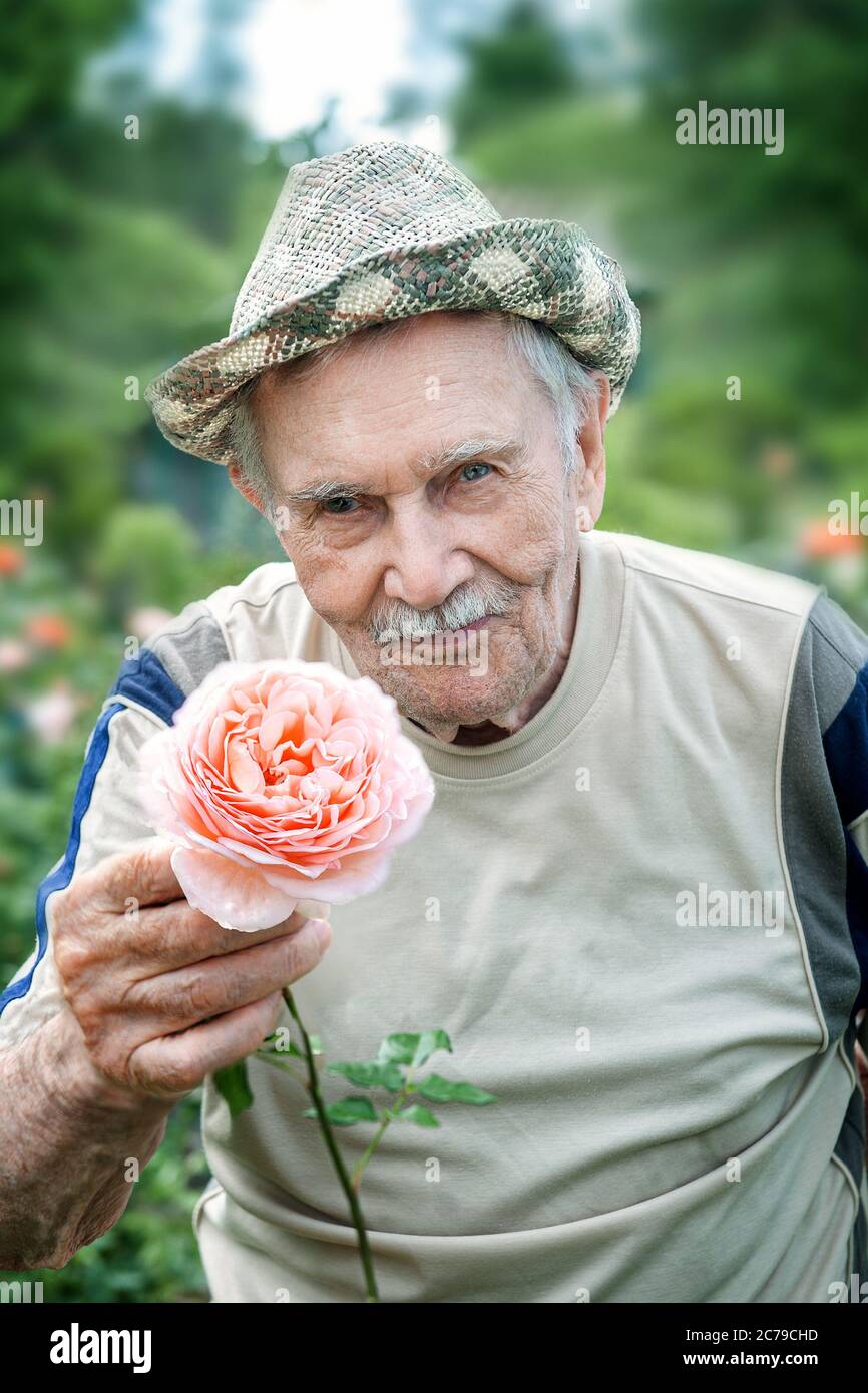Retrato de un hombre anciano de 87 años, con rosas en su jardín. Jardinería y floricultura. Feliz edad. Mira la cámara. Foto de stock