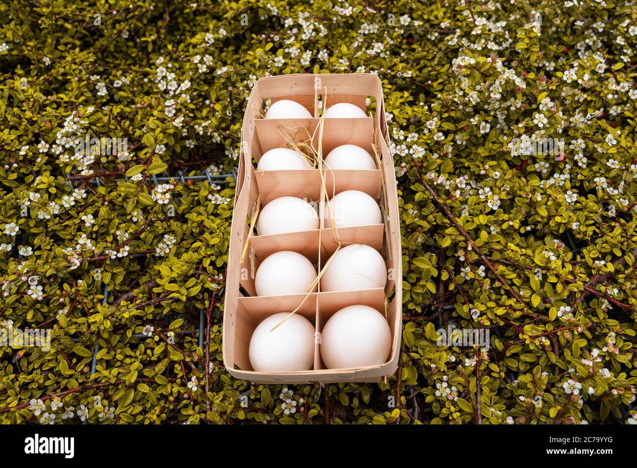 Huevos frescos rústicos en contenedor de madera en la tierra de tierra de la aldea de la naturaleza con césped verde, vista lateral. Los huevos se espolvorean con hierba seca Foto de stock