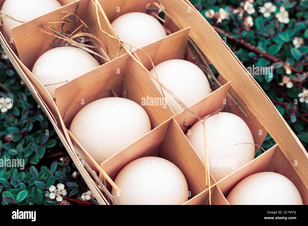 contenedor de madera con huevos orgánicos blancos se encuentra en un jardín rural. huevos rociados con heno, de cerca. Hermoso concepto de Pascua Foto de stock