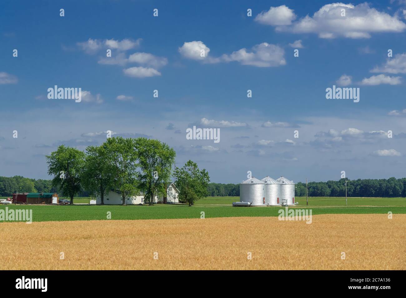 Pequeña granja familiar, Indiana, Estados Unidos Foto de stock