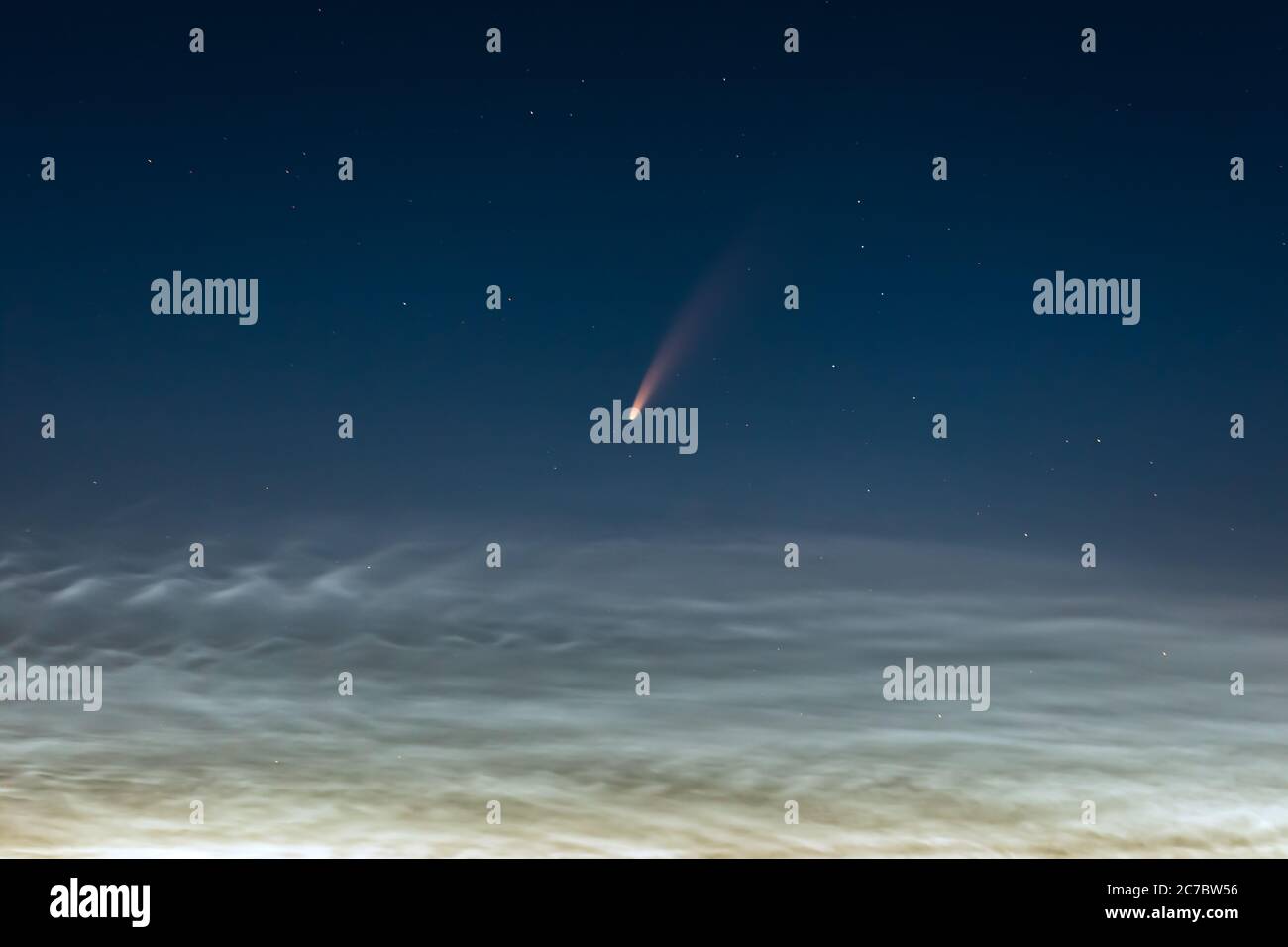 Neowise cometa en el cielo nocturno de Lituania Foto de stock
