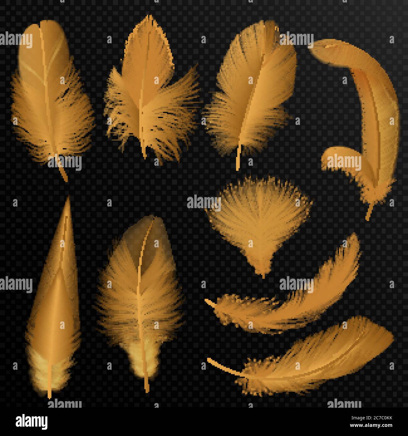 diseño de plumas doradas Imagen Vector de stock - Alamy