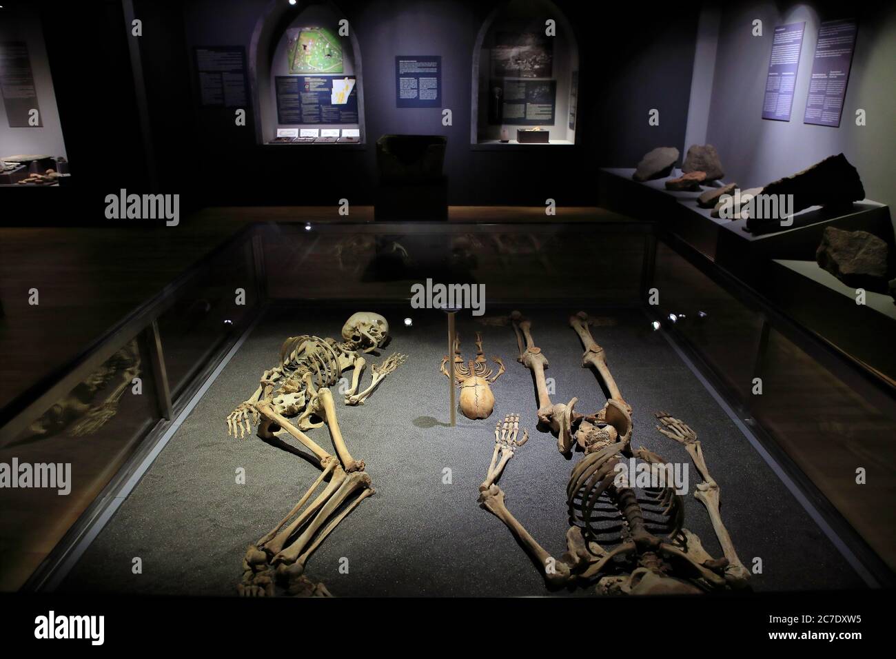 Esqueletos excavados de hombre, mujer e infante en exhibición en el Museo Nacional de las Islas Feroe.Torshavn.Streymoy.Islas Feroe.Territorio de Dinamarca Foto de stock