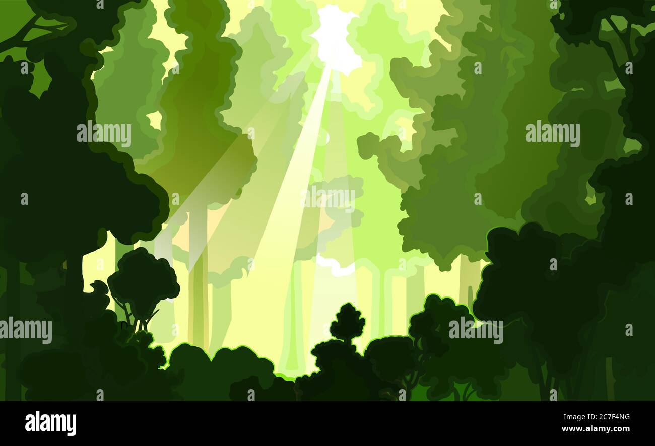 Vector de fondo forestal. Ilustración de un paisaje en colores verdes. Siluetas de árboles, luz del sol. Luz del cielo, rayos de sol. Primavera delicada, verano fo Ilustración del Vector