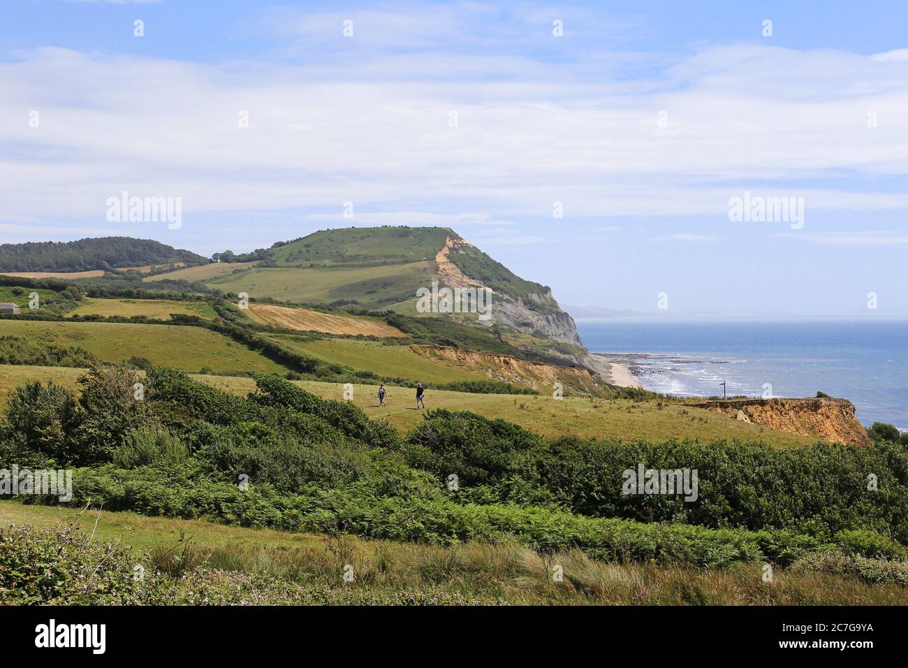 Golden Cap, South West Coast Path, Dorset, Inglaterra, Gran Bretaña, Reino Unido, Reino Unido, Europa Foto de stock