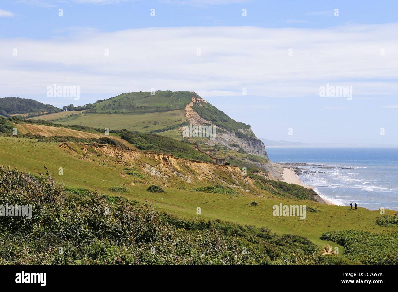 Golden Cap, South West Coast Path, Dorset, Inglaterra, Gran Bretaña, Reino Unido, Reino Unido, Europa Foto de stock