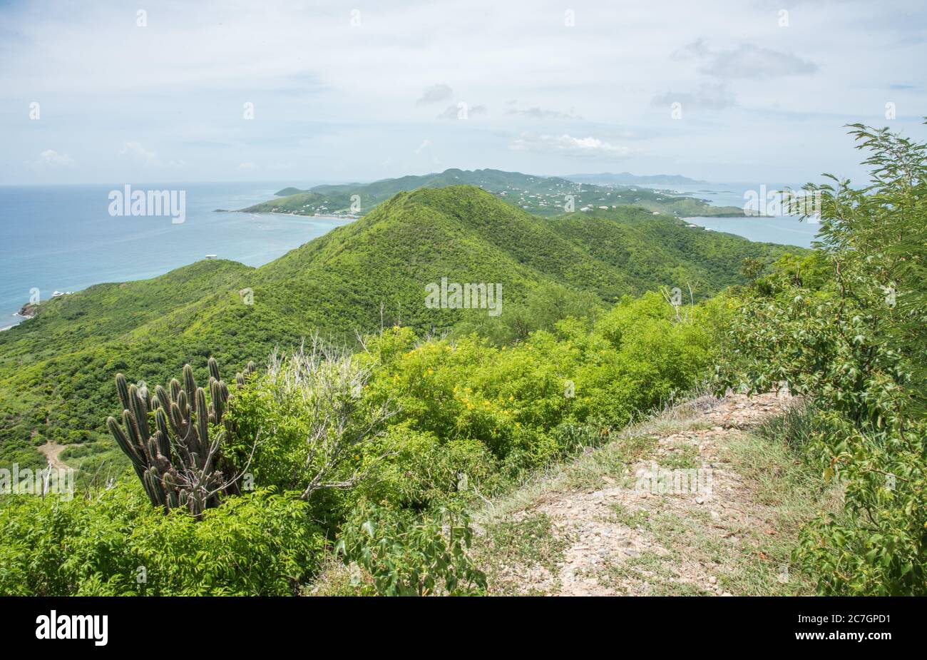 Vista panorámica de las exuberantes colinas y el mar Caribe desde la caminata de Goat Hill en el extremo este de Santa Cruz en las Islas Vírgenes de los Estados Unidos Foto de stock