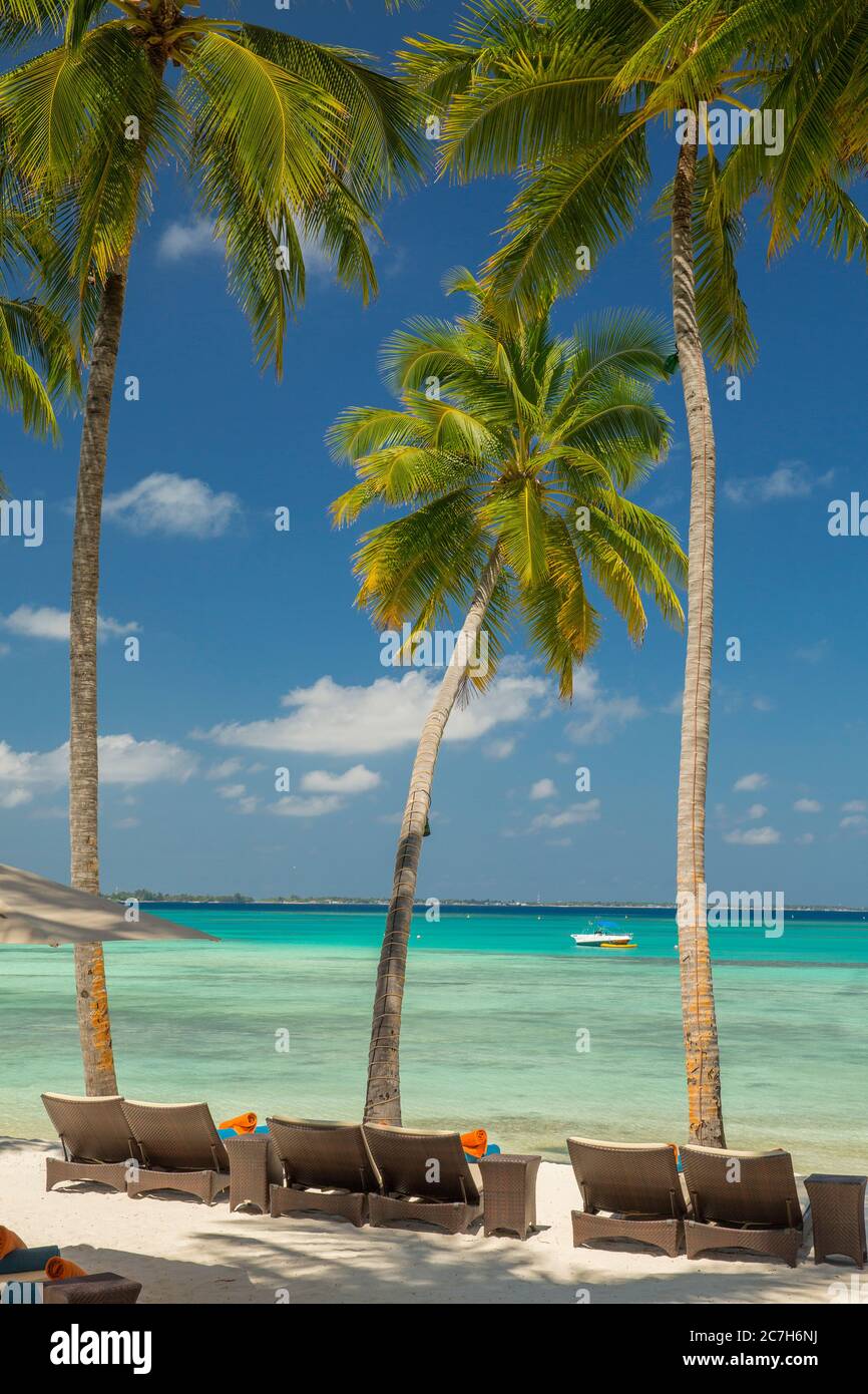 Maldivas, Atoll Sur Male, Shangri-la's Villingili Resort & Spa, sillas de playa, playa de palma, mar, detalle, Foto de stock