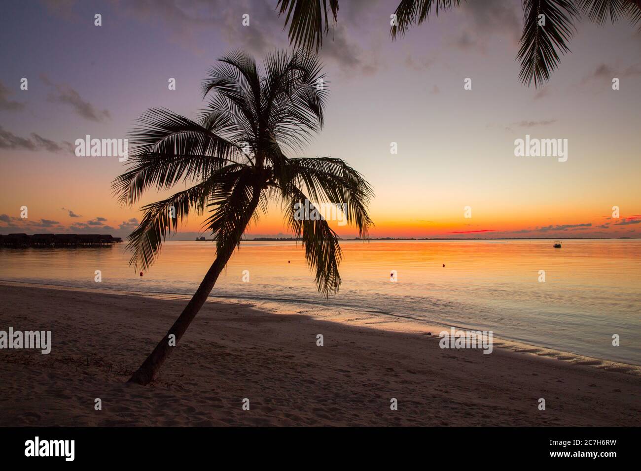 Maldivas, Atoll Sur Male, mar, playa de palmeras, puesta de sol Foto de stock