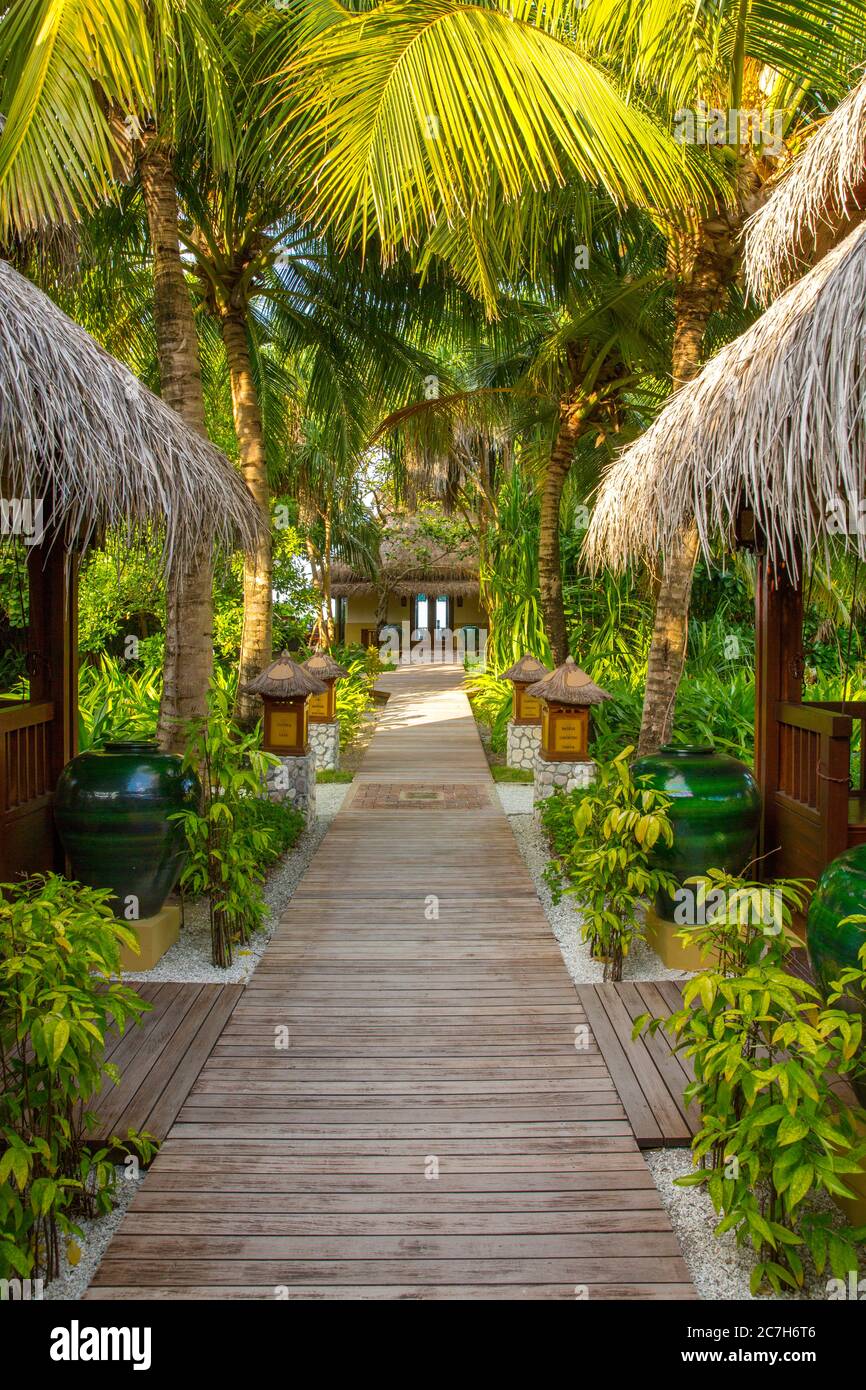 Camino, jardín de palmeras, bienestar, Shangri-la's Villingili Resort & Spa, Villingili, Maldivas Foto de stock