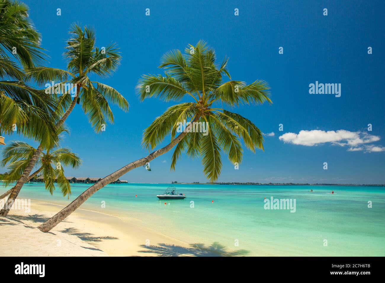 Palm Beach, Shangri-la's Villingili Resort & Spa, Villingili, Maldivas, Océano Índico Foto de stock
