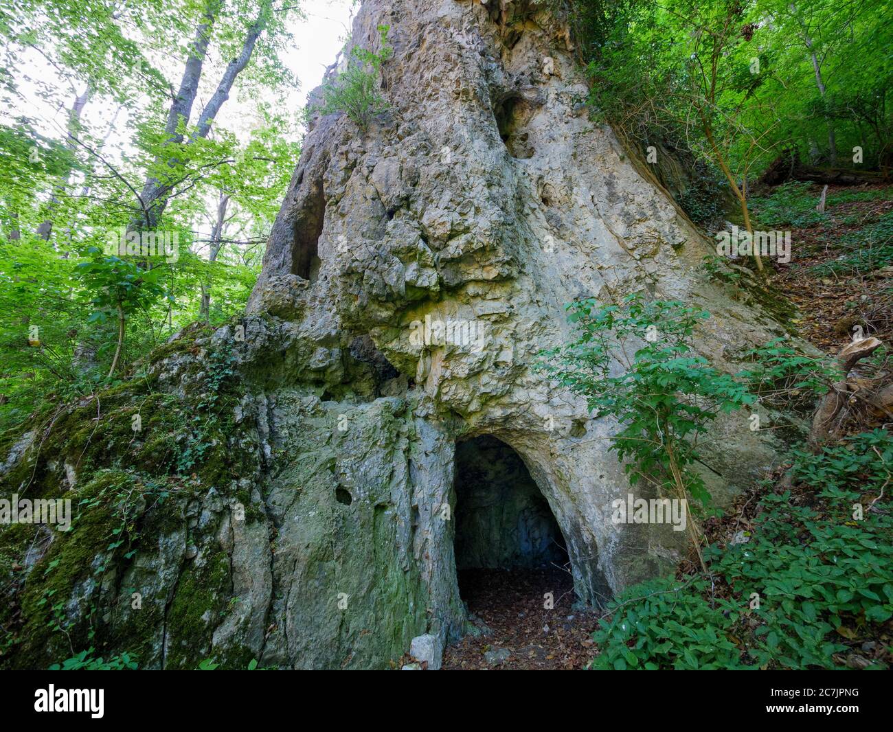 Cuevas del Patrimonio Mundial de la UNESCO y arte de la era del hielo del Jura Suabia, Schelklingen, Jura Suabia, Baden-Württemberg, Alemania Foto de stock