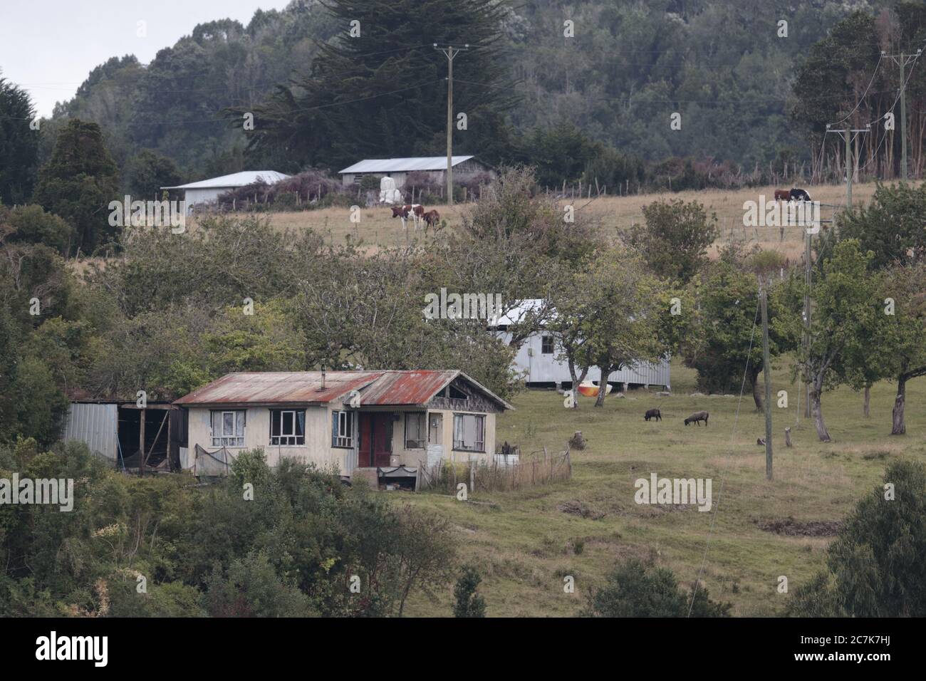 Granjas en Isla Chiloé, sur de Chile, febrero de 2020 Foto de stock