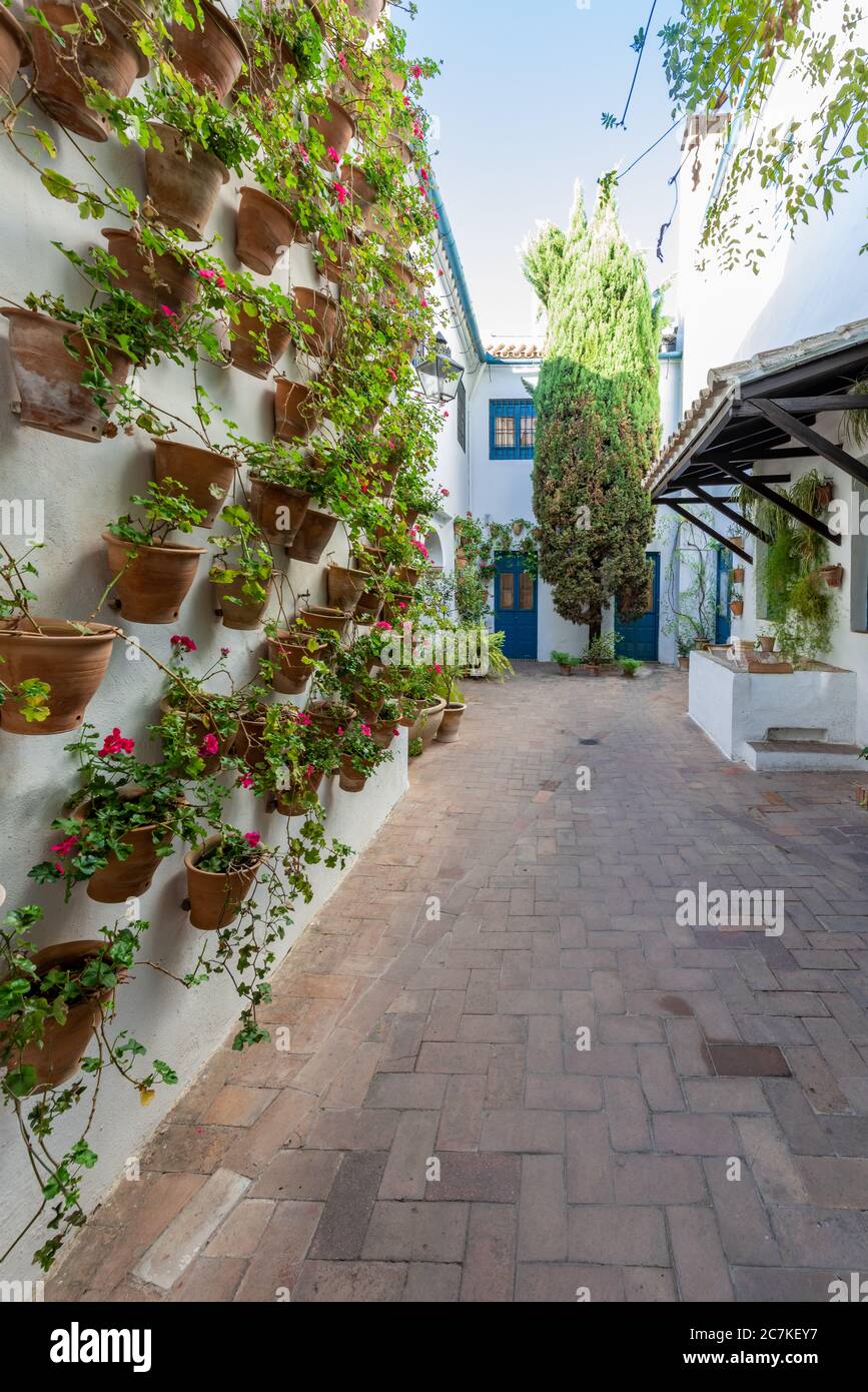 El Patio de los Gatos del Palacio de Viana, el primer patio documentado de Córdoba, fue nombrado por los numerosos felinos atraídos por los olores de comida de la cocina Foto de stock