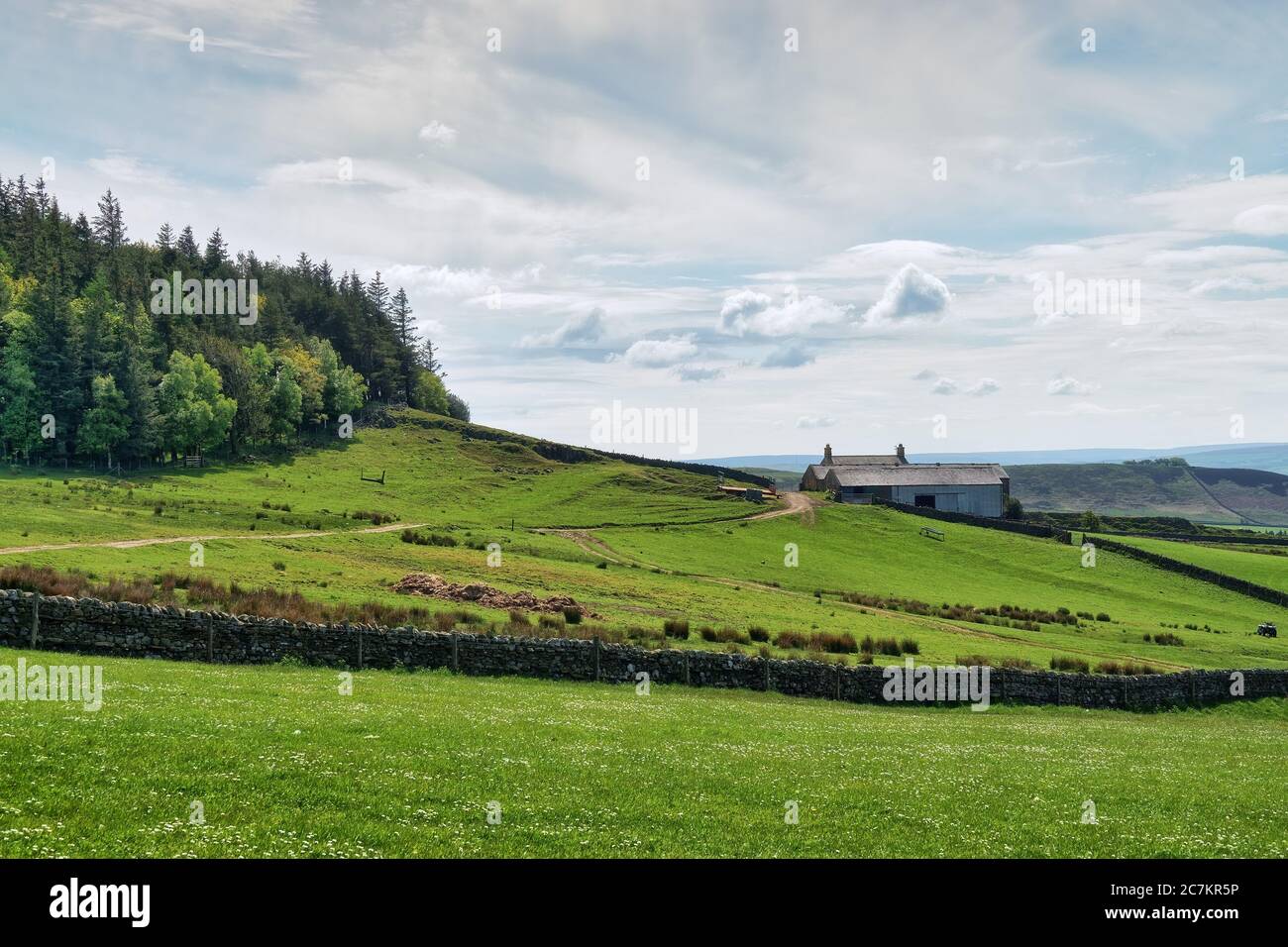 Una casa rural en una ladera en Northumberland Foto de stock