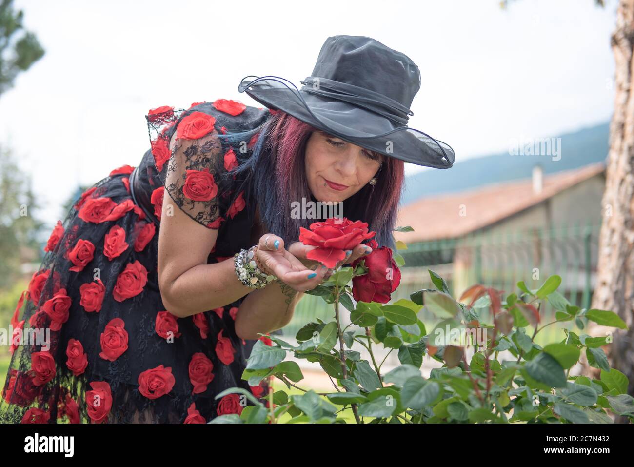 Mujer sniffs el aroma de los arbustos de rosas rojas en un jardín botánico. Foto de stock