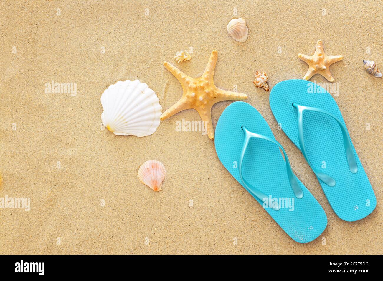 Elegantes chanclas y conchas de mar sobre la arena de la playa Fotografía  de stock - Alamy