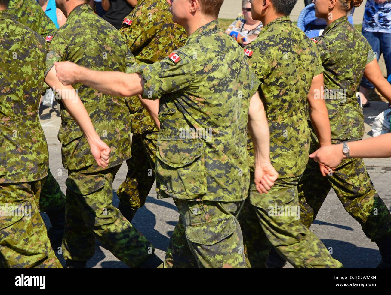 Desfile del ejército canadiense, Canadá Foto de stock