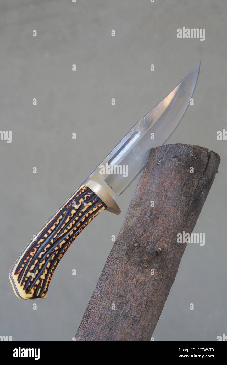 Tiro vertical de un cuchillo de caza en la madera bajo el luces con un  fondo borroso Fotografía de stock - Alamy