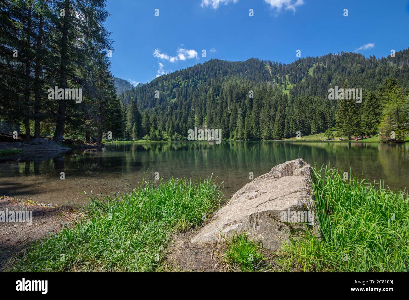 Una hermosa imagen de gran angular del lago 'Lago dei Caprioli' durante el verano, Trentino, Italia Foto de stock