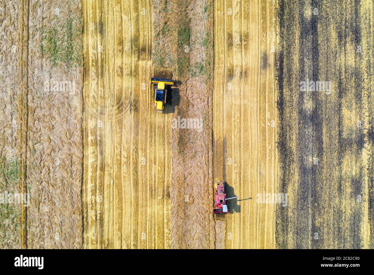 La vista aérea de la cosechadora está cosechando trigo en verano Foto de stock