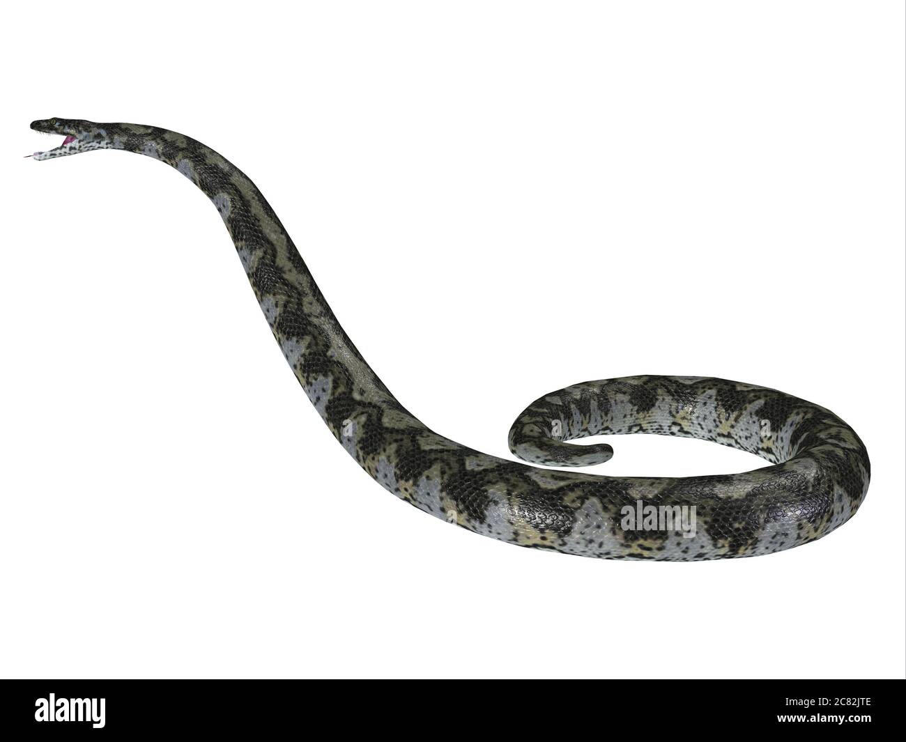 Esta serpiente depredadora carnívora Titanoboa vivió durante el período Paleoceno de Columbia