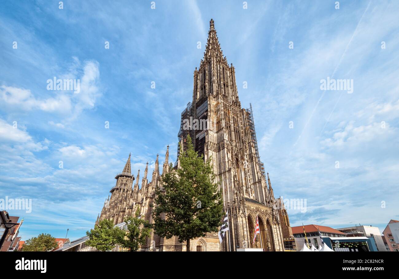 Ulm Minster o Catedral de la ciudad de Ulm, Alemania. Es la atracción turística medieval de Ulm. Vista de la antigua catedral gótica sobre el fondo del cielo azul, punto de referencia Foto de stock