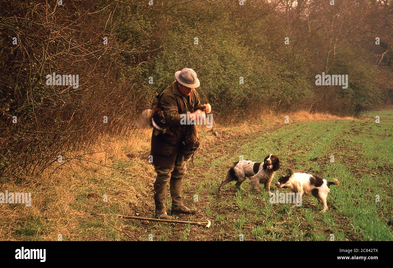 Jugador en un tiro Pheasant cerca de Offa's Dyke Shropshire UK 1990 Foto de stock