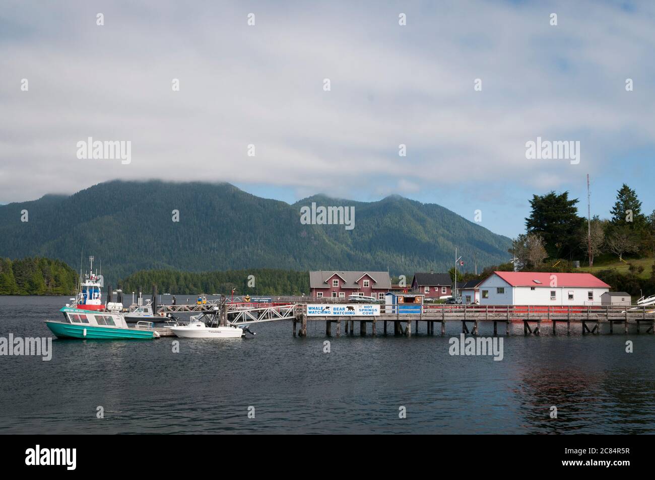 Tofino, Vancouver Island, British Columbia, Canadá. Foto de stock