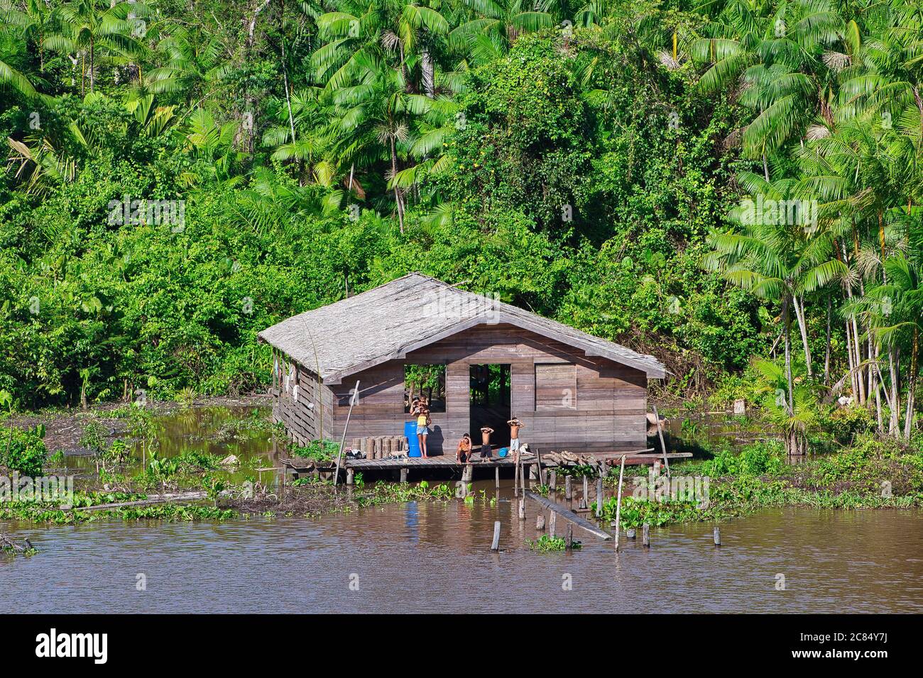 Una casa típica sobre pilotes en las orillas del río Amazonas con selva  tropical más allá cerca de Belem en el estado de Pará, Brasil Fotografía de  stock - Alamy