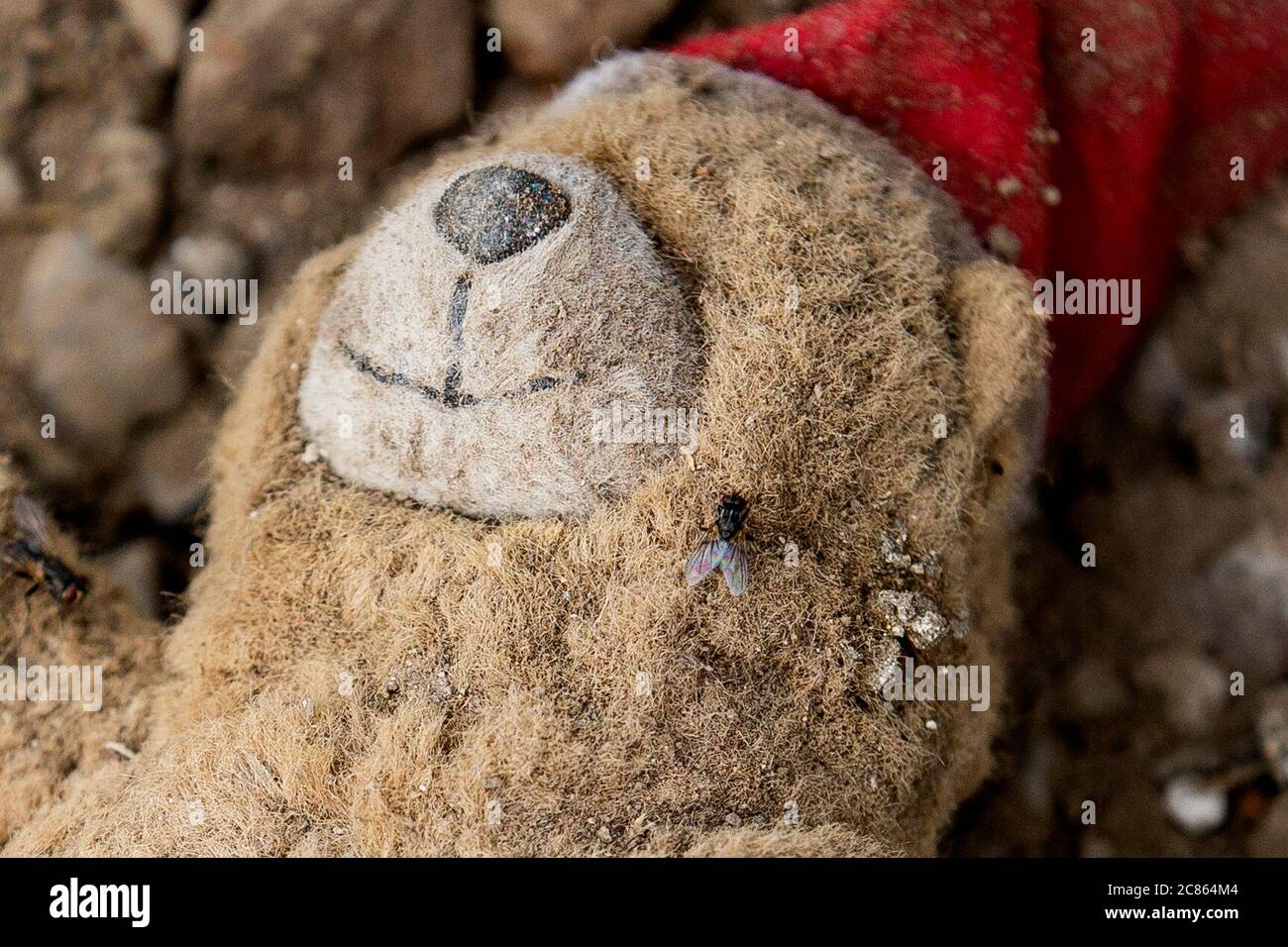 Una mosca descansa en la cara de un oso de peluche de niños en un basurero  ilegal en una unidad de Edenderry Industrial Estate, en la carretera  Crumlin en el norte de