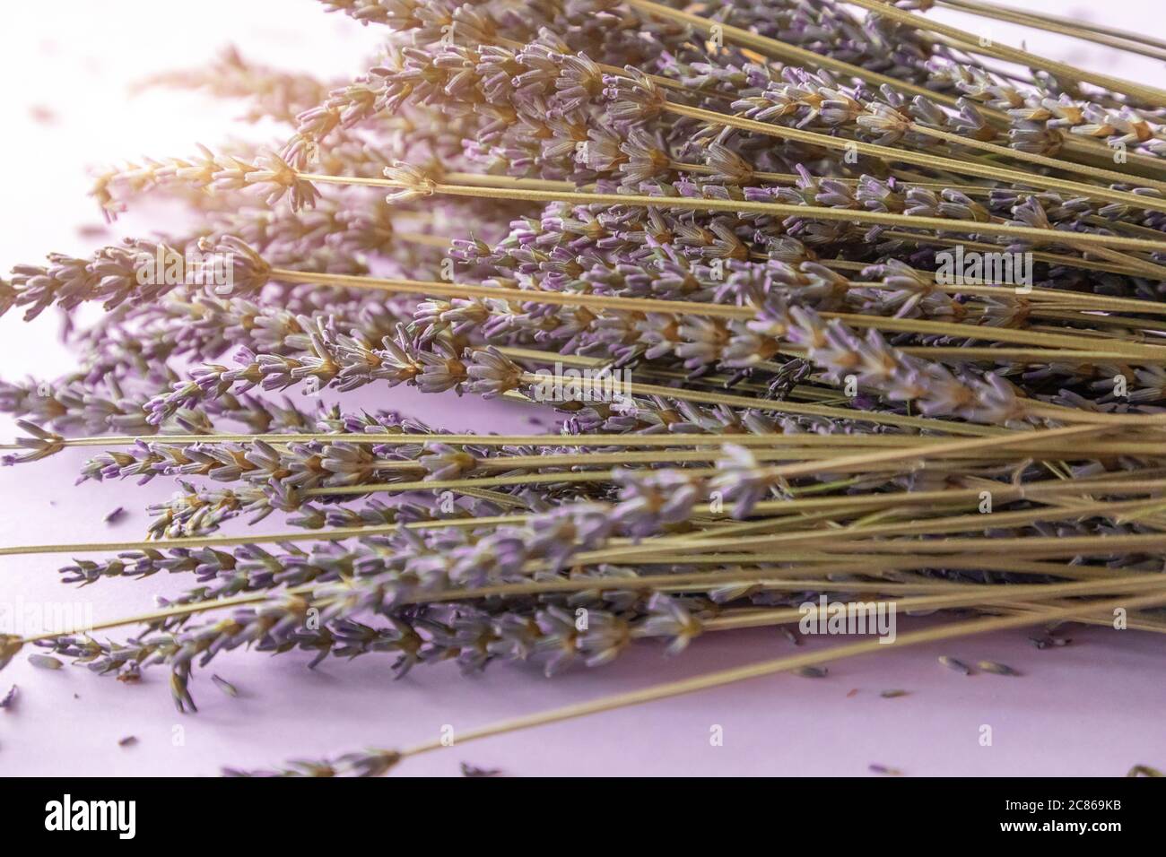 Ramo de flores de lavanda seca sobre fondo violeta Fotografía de stock -  Alamy