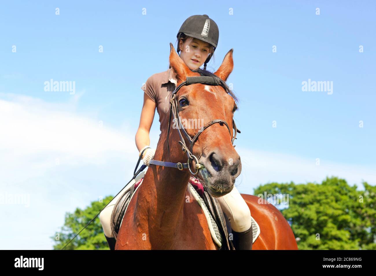 Adolescente caballo ecuestre. Vibrante verano exterior imagen horizontal. Foto de stock