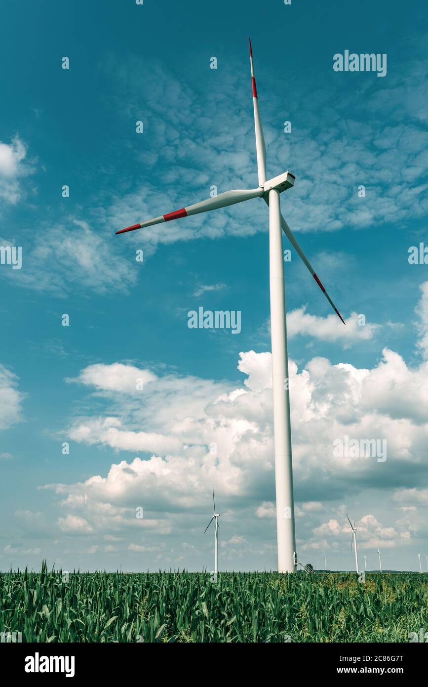 Aerogeneradores en un parque eólico moderno, visión de bajo ángulo de la innovadora tecnología de recursos sostenibles Foto de stock