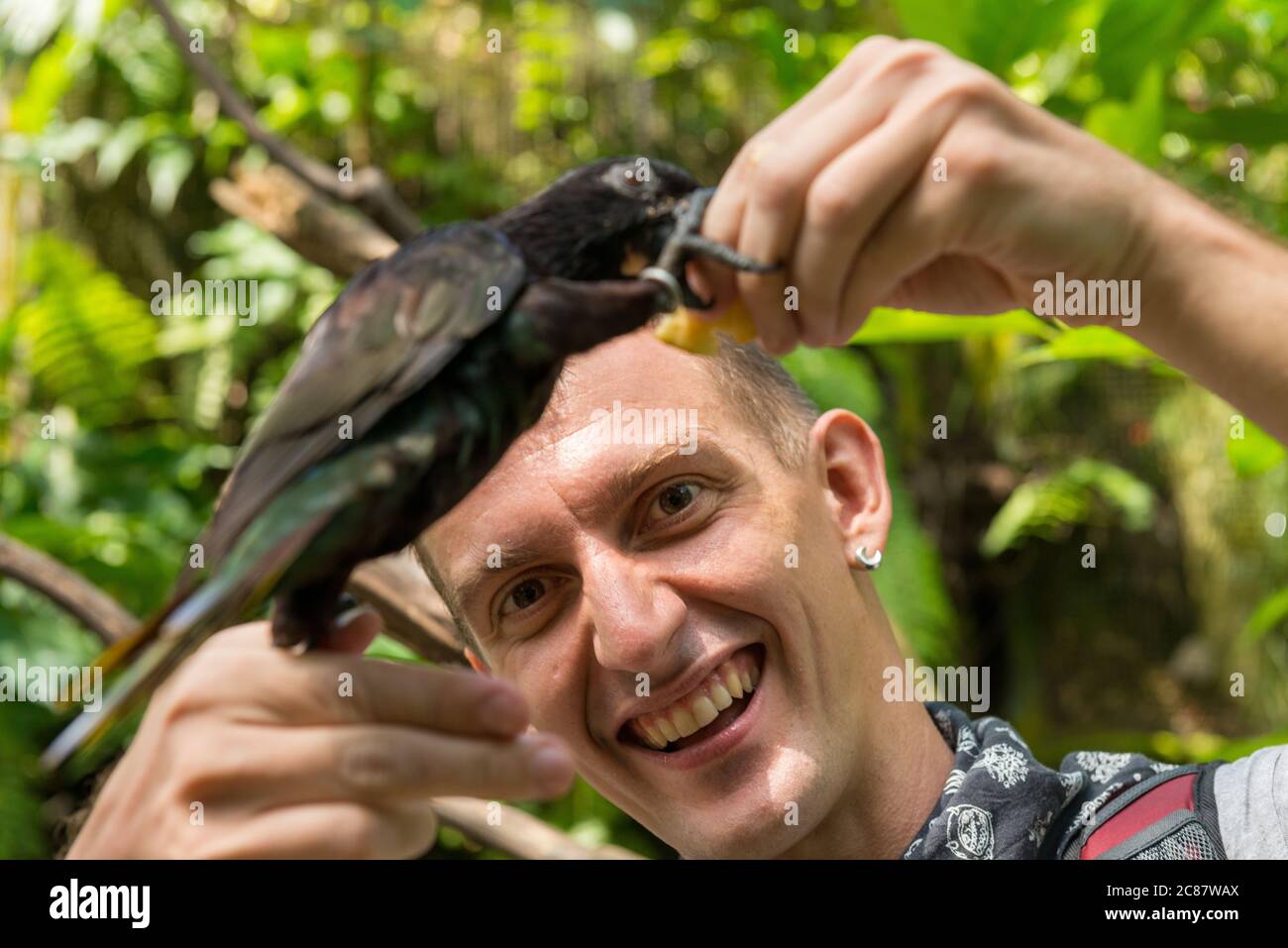 Turista en el parque de aves Bali Foto de stock