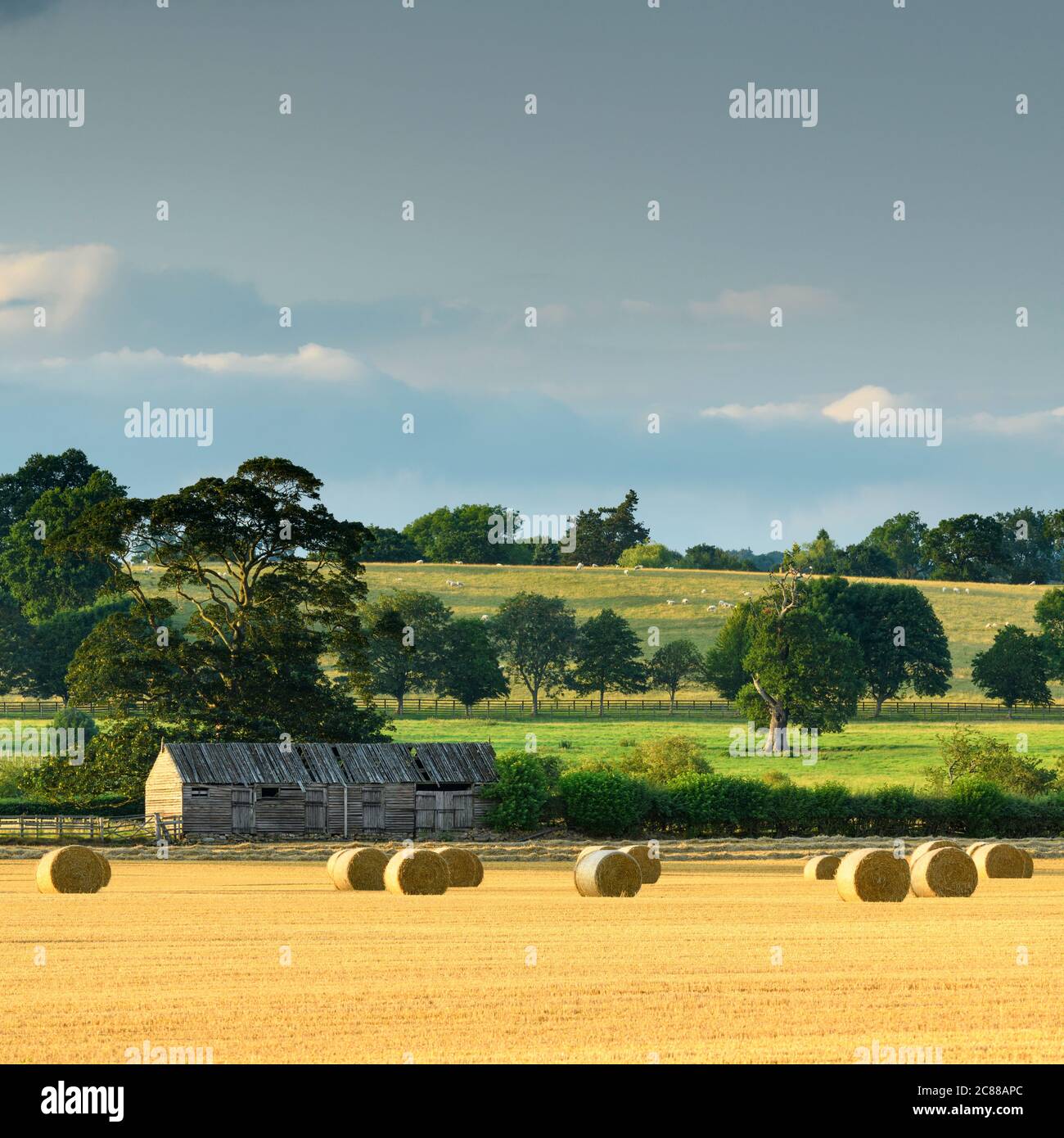 Paisaje rural escénico (balas de paja en campo de granja después de la cosecha de trigo, granja de madera rústica y la luz del sol en los campos verdes) - North Yorkshire, Inglaterra Reino Unido. Foto de stock