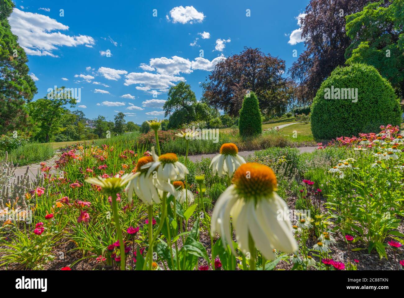 Camas de flores en Rosensteinpark o Parque Rosenstein, Distrito de la Ciudad de Bad Cannstatt, Ciudad de Stuttgart, Baden-Württemberg, Alemania del Sur, Europa Central Foto de stock