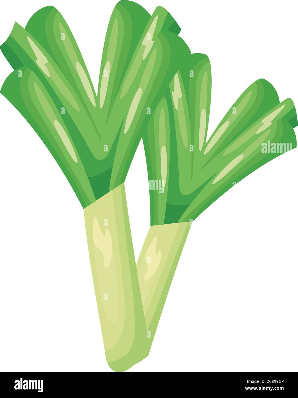 cebolla rama saludable vegetal estilo detallado icono ilustración vector  diseño Imagen Vector de stock - Alamy