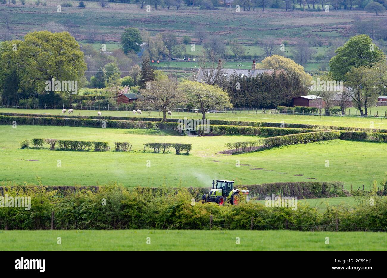 Esparciendo fertilizante en un campo de hierba, Chipping, Preston, Lancashire. Foto de stock