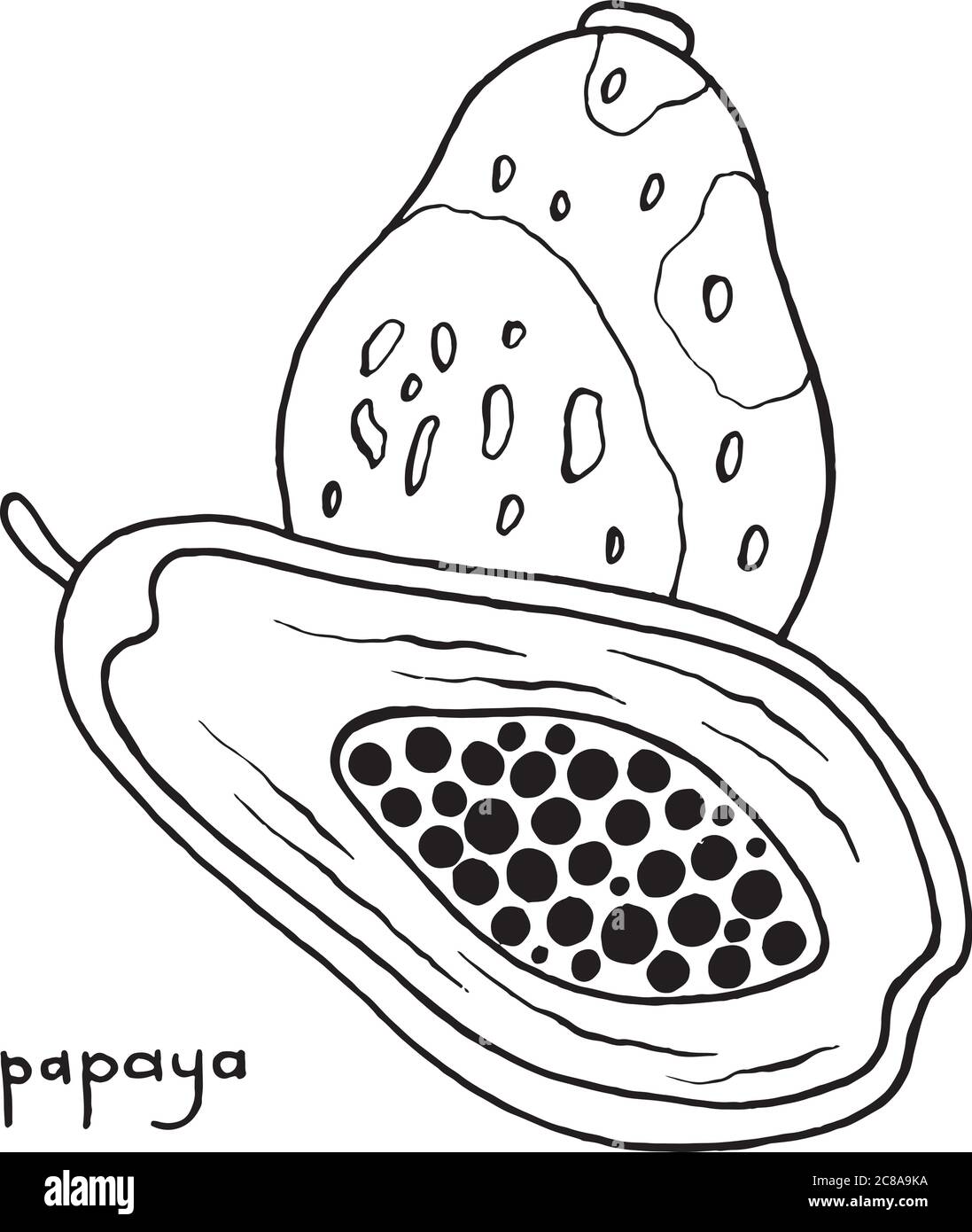 Página de coloreado de papaya. Gráfico vectorial blanco y negro arte para colorear libros para