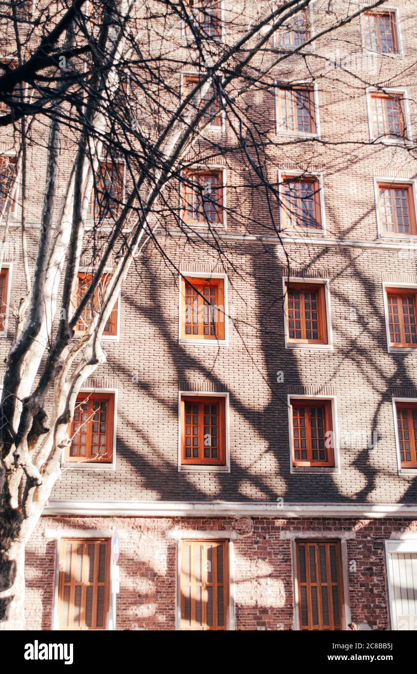 Vista frontal vertical de un antiguo edificio residencial con ramas de árboles sin hojas durante una fría tarde otoñal. Foto de stock