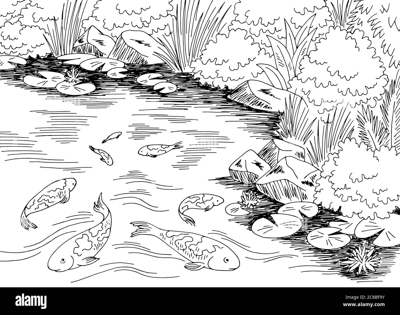 Pond koi carpe peces gráfico blanco negro paisaje ilustración vector Ilustración del Vector