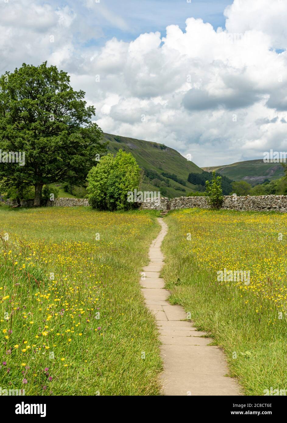 Los prados de flores silvestres en Muker en Swaledale Foto de stock