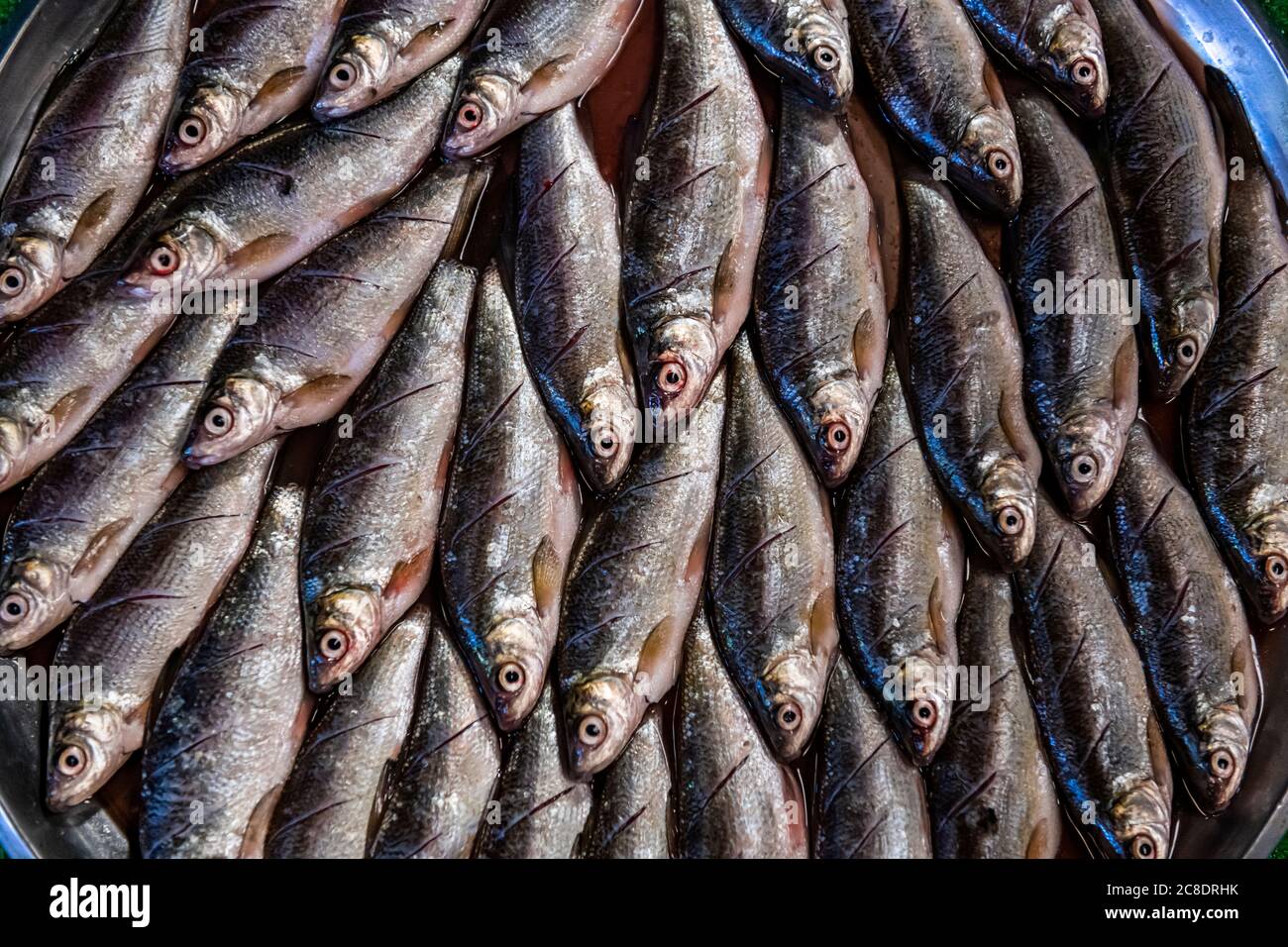 Myanmar, estado de Kachin, Munch de pescado fresco para la venta Foto de stock