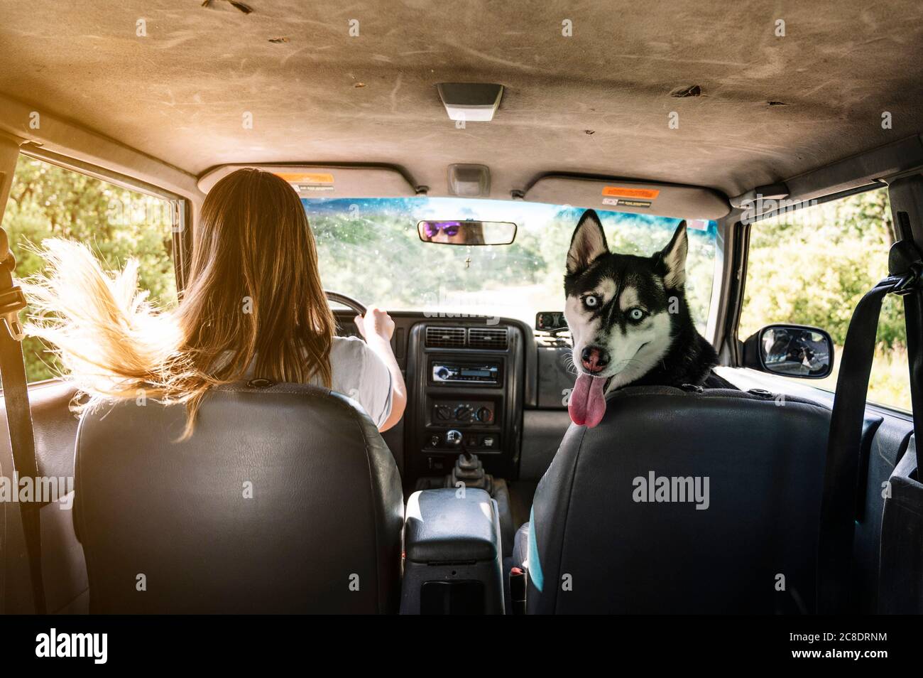 Mujer con el cabello tusled conduciendo mientras husky sentado en el asiento en el vehículo Foto de stock