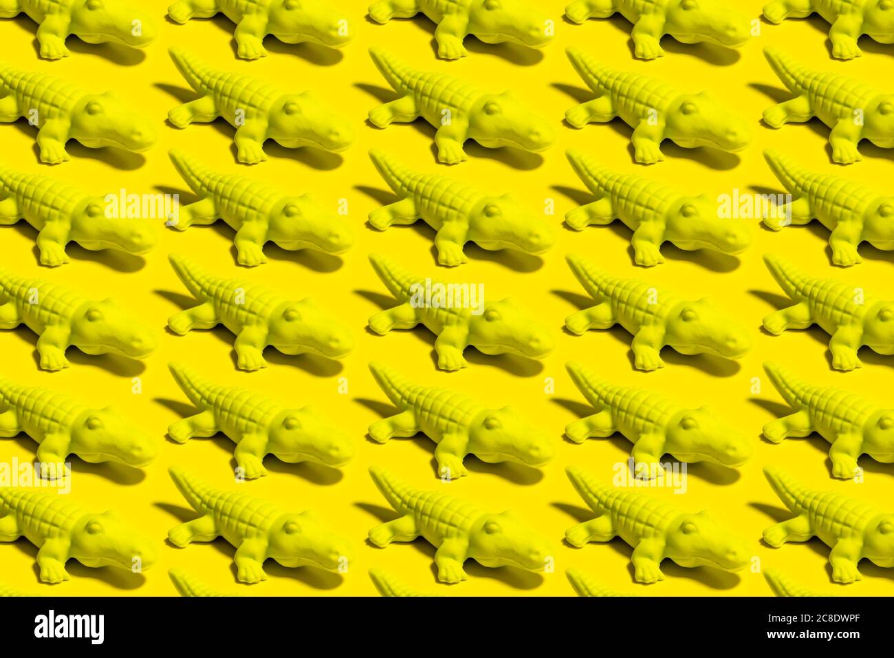 Cocodrilo amarillo fotografías e imágenes de alta resolución - Alamy