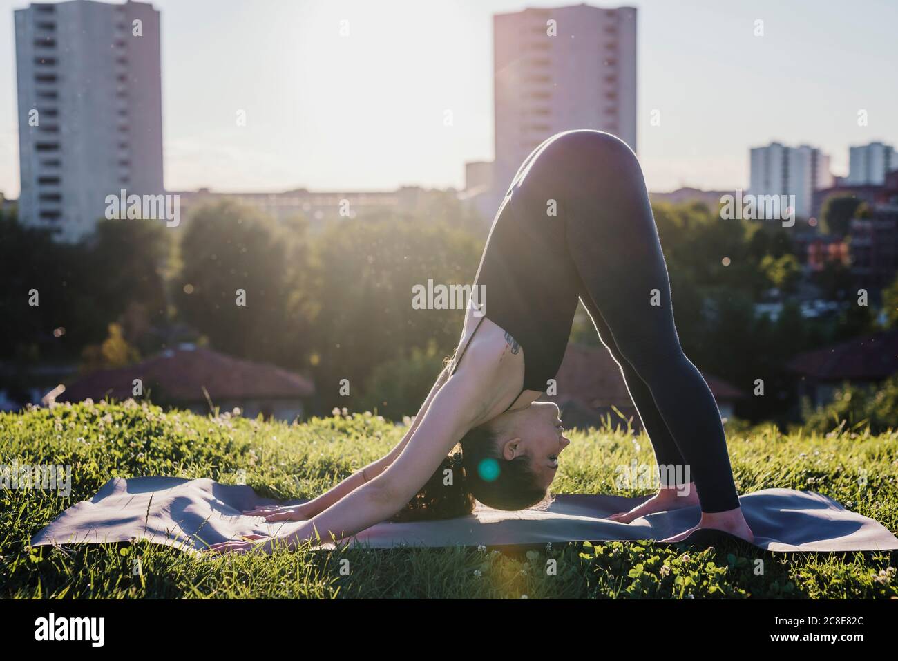 Mujer joven realizando yoga en posición de perro hacia abajo en parque de la ciudad Foto de stock