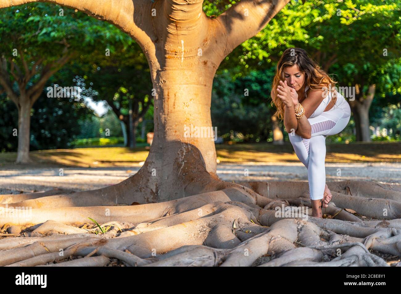 Mujer madura practicando la postura del águila mientras que está parado en las raíces adentro parque Foto de stock
