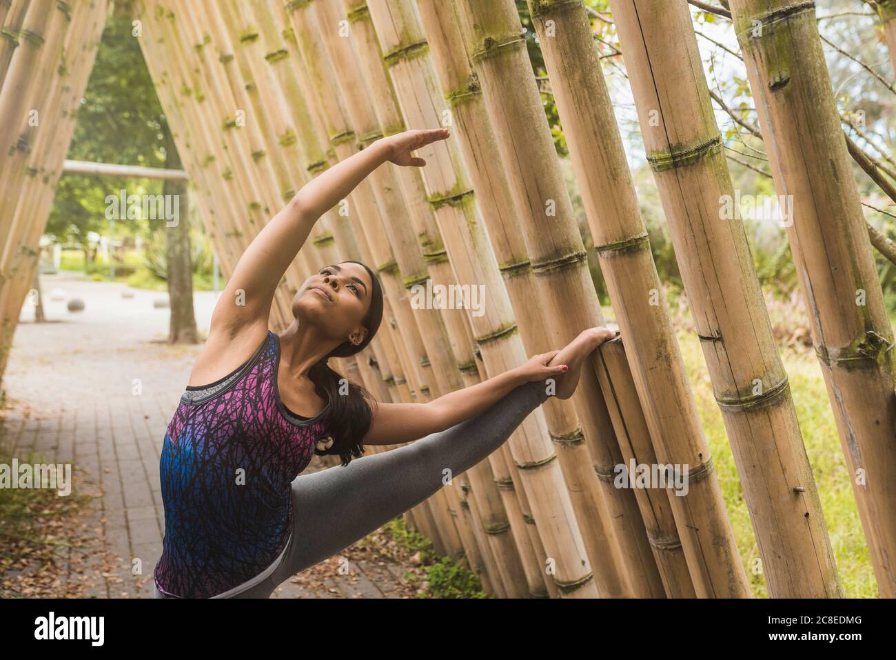 Mujer joven flexible estirándose mientras se apoya en bambú en el parque Foto de stock