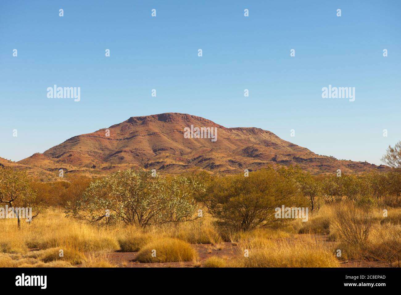 Vista panorámica de la vegetación de montaña y monte del paisaje del interior de Pilbara en Australia Occidental, con el cielo azul soleado como fondo. Foto de stock